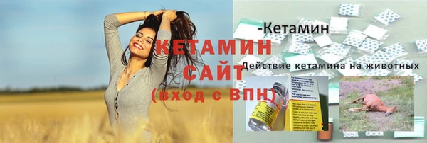 сатива Анива