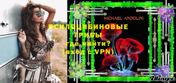 ECSTASY Михайлов