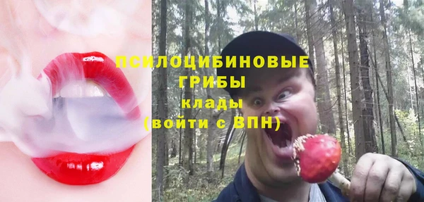 ECSTASY Михайлов