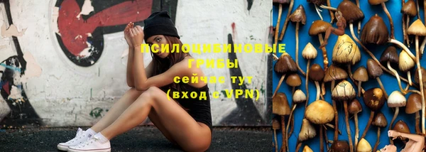 мяу мяу мука Анжеро-Судженск